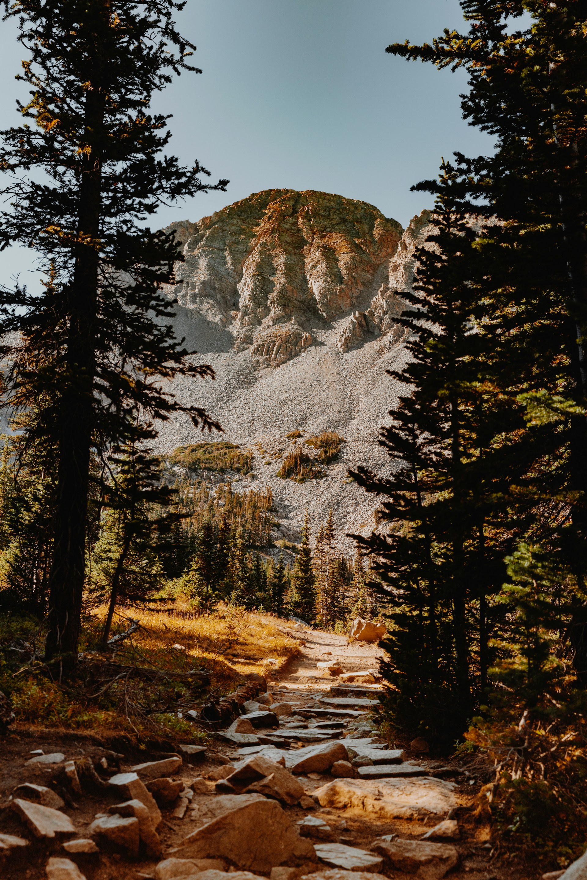 Mindful Hikes